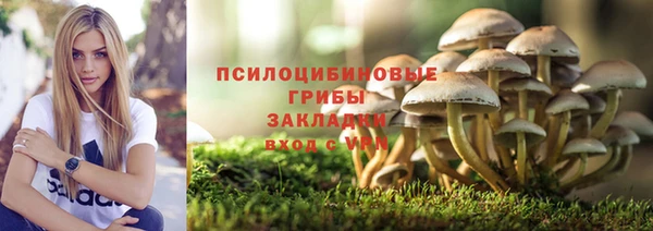 гашиш Арсеньев